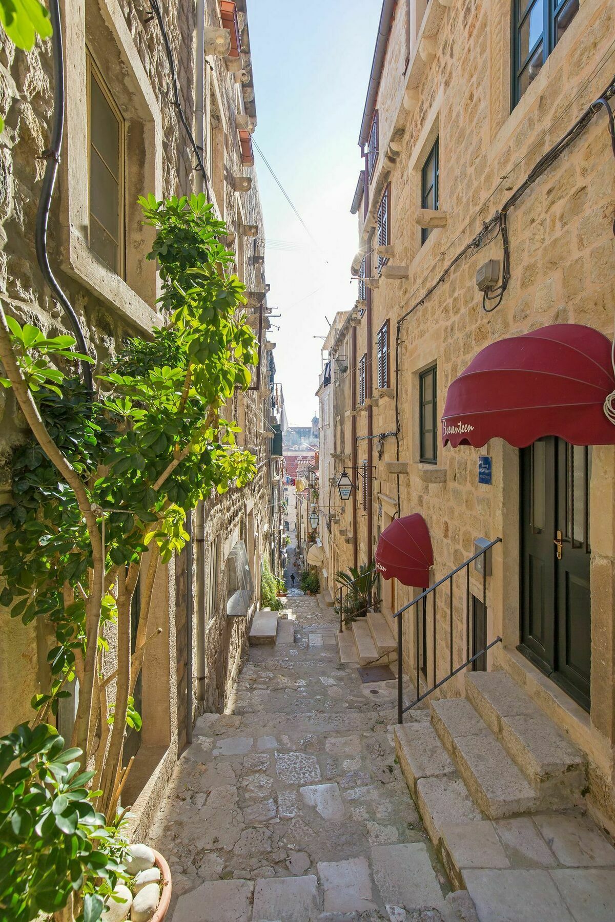 Apartments And Room Le Petit Nono Dubrovník Exteriér fotografie